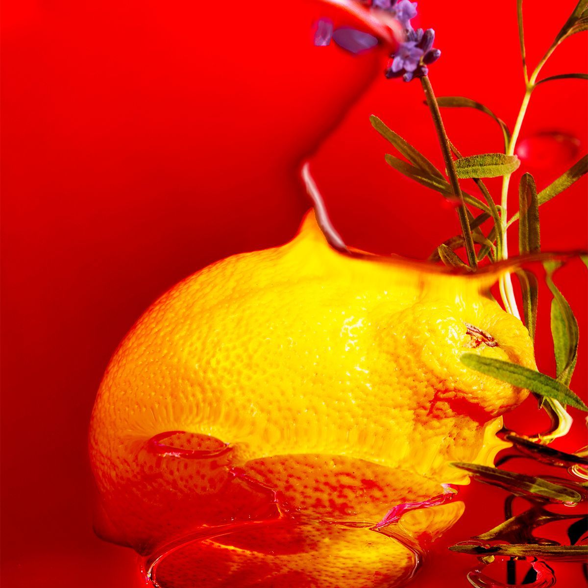 פארינה - ניחוח אייקוני מאז 1806