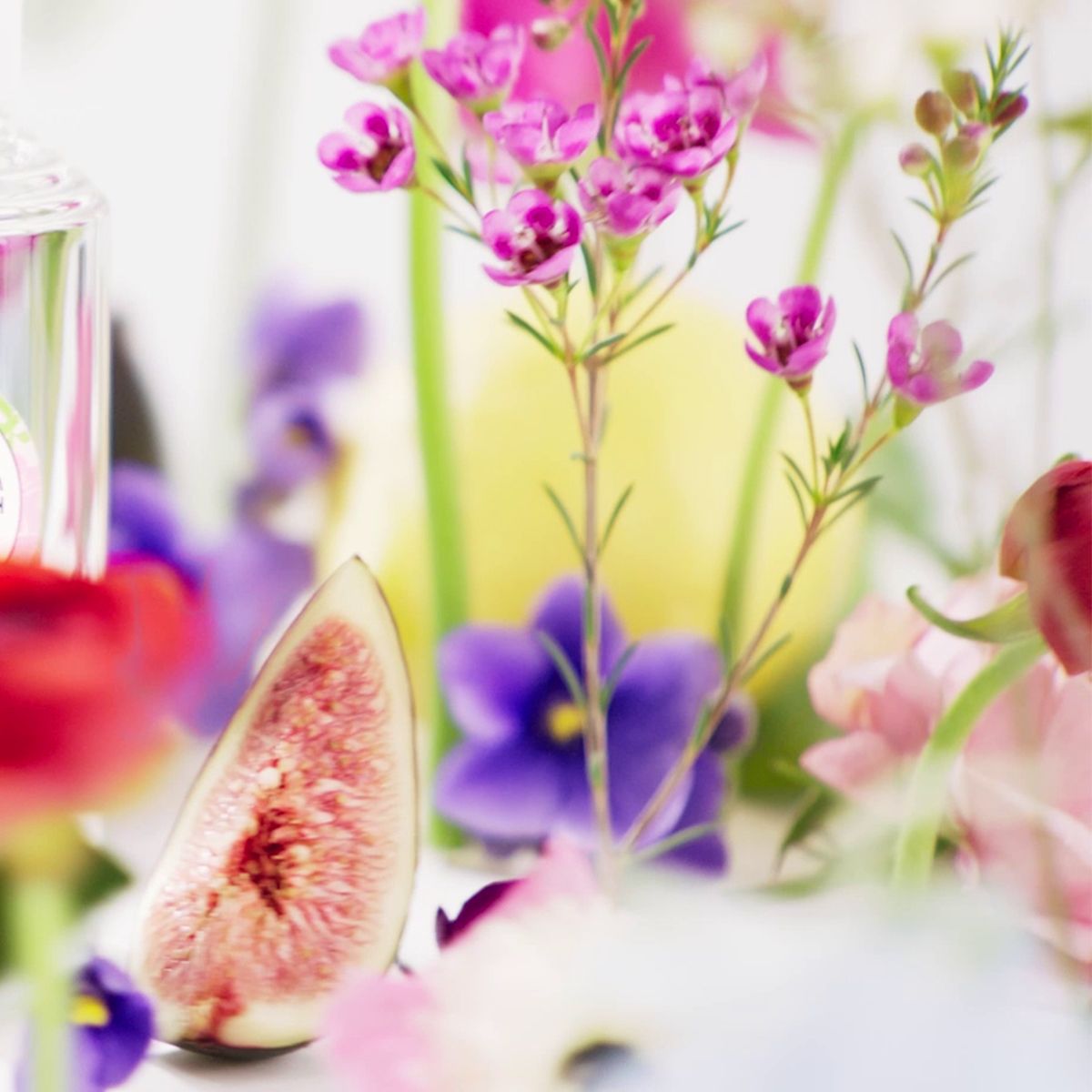 למי זה מתאים?